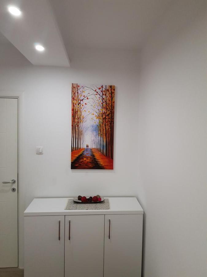 Apartment Gea 18 Novi Sad Exterior photo